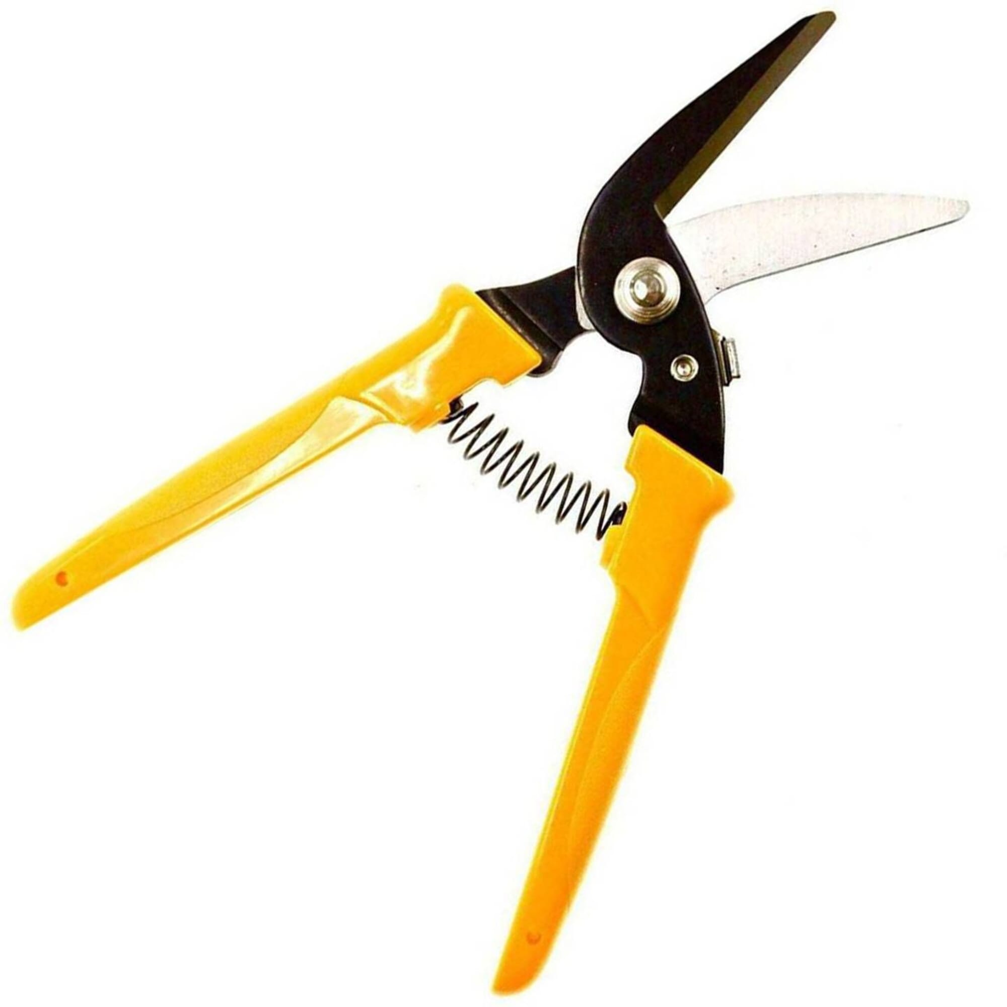 Allex Super Hard Scissors SH-1 Stainless Steel General Purpose Utility  Shears 55mm, to Cut Cardboard, Leather, Resin Sheet, & Carton